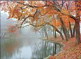 Reflections Canvas Paintings - Mike Jones Autumn Reflections